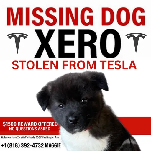 Xero