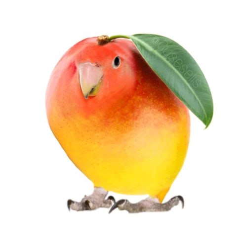 mangobird