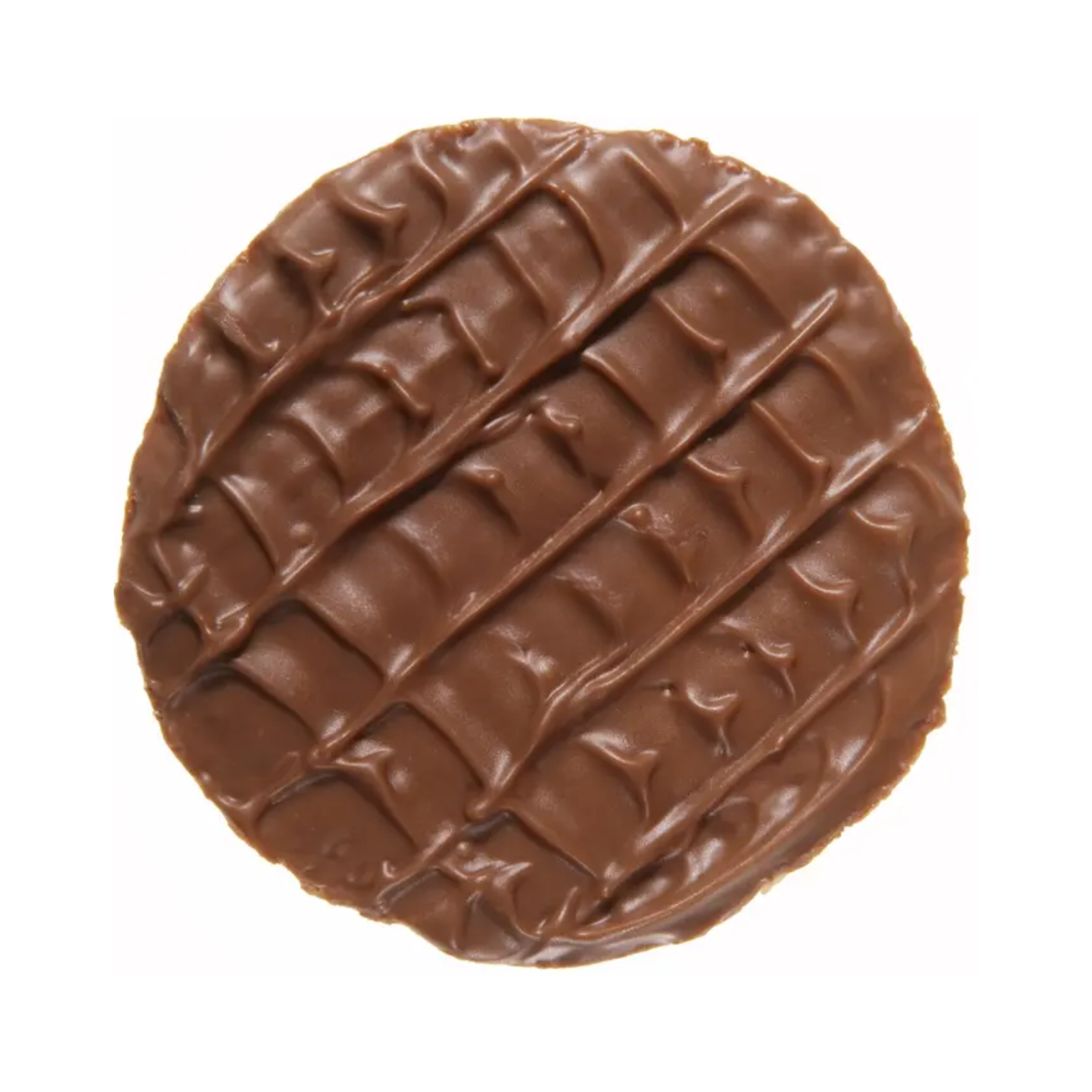 biscuit