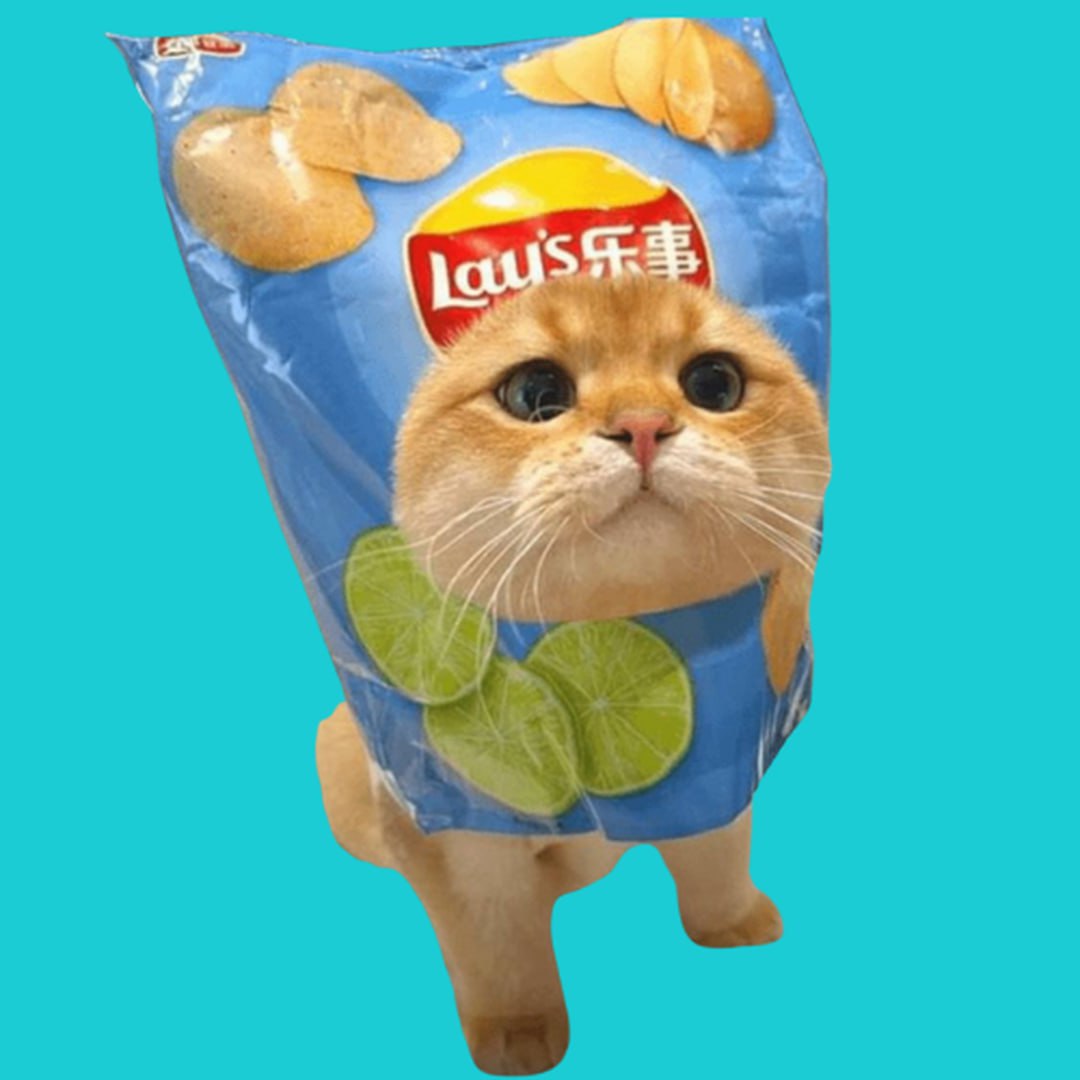 CatLays