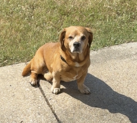 Franklin