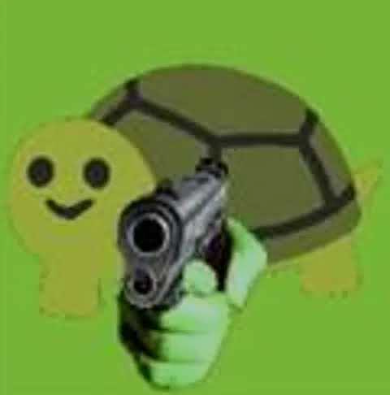 turtle