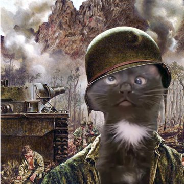 WAR