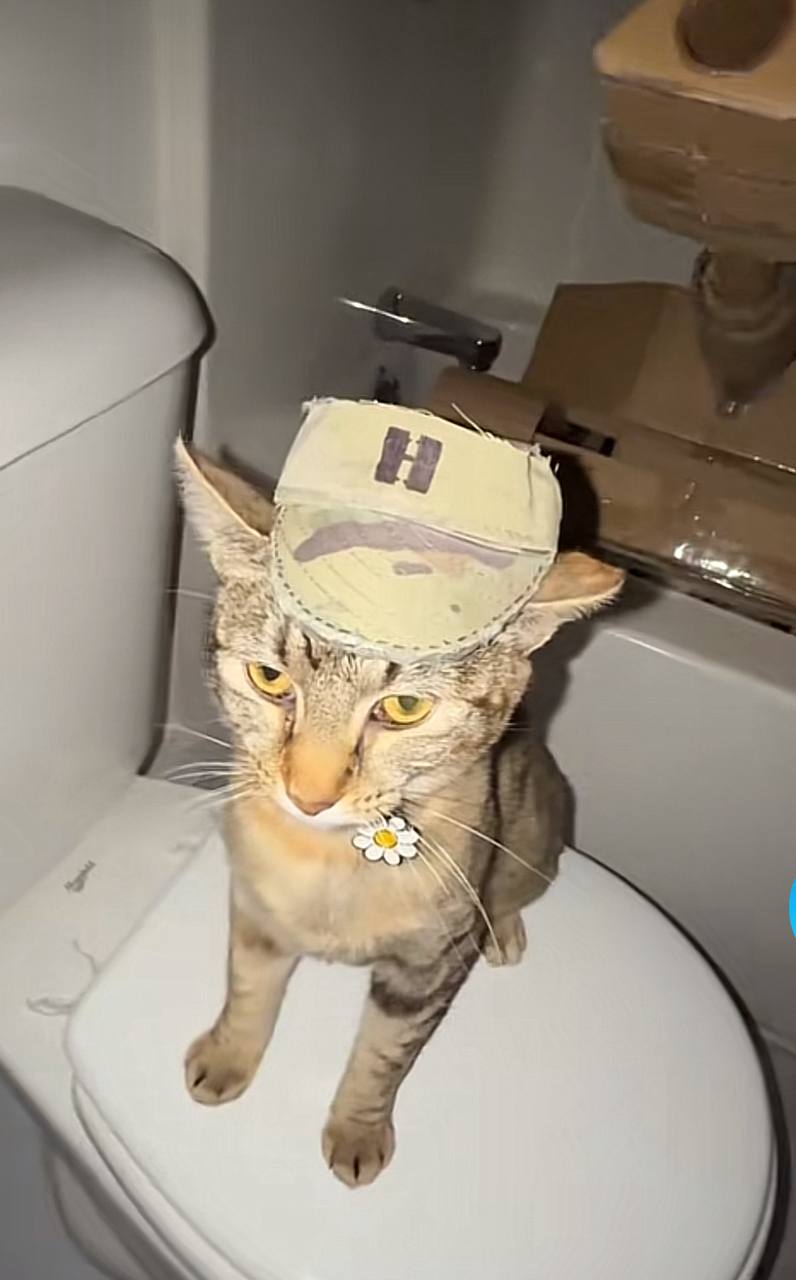 Meowfia