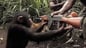 monkeygun
