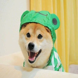 FROGE