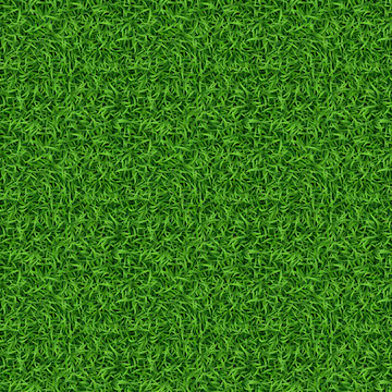 grass