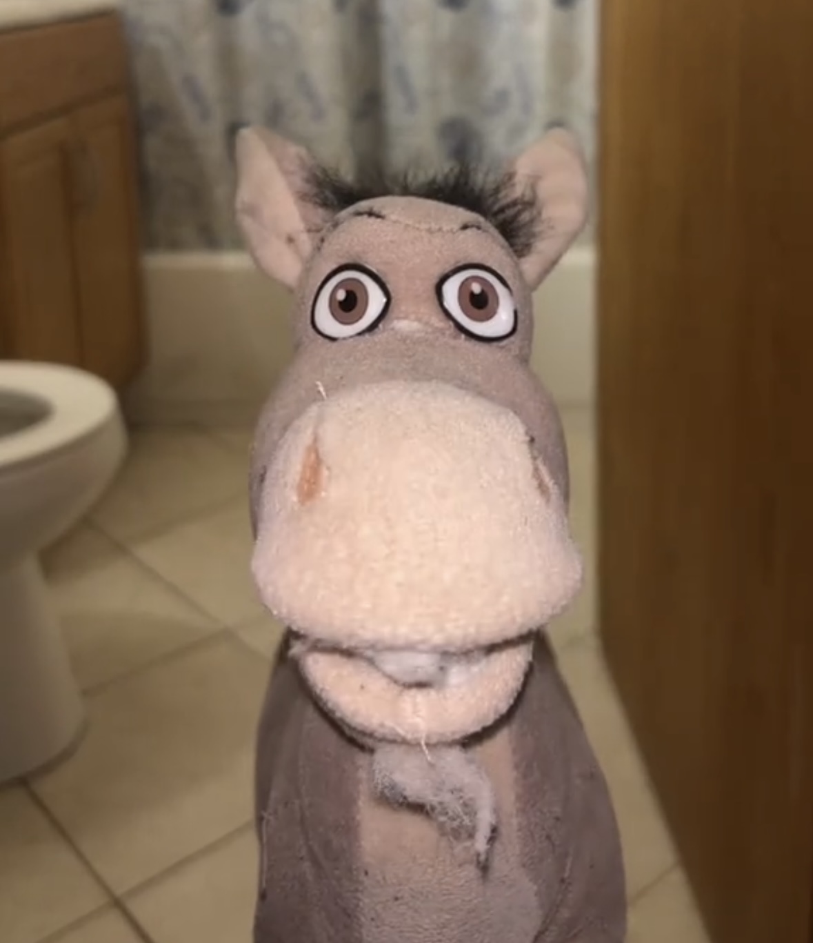 Binky