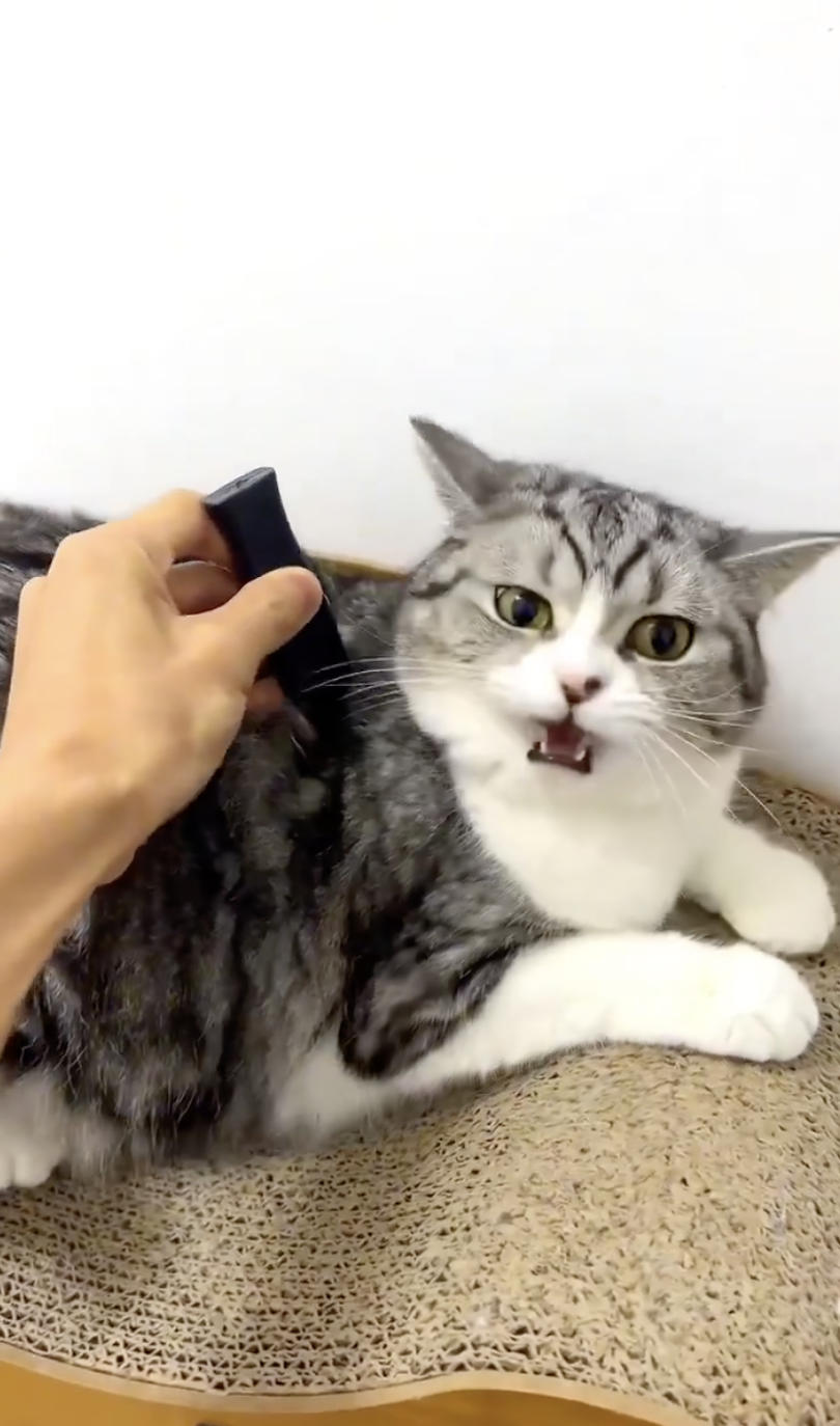 KNIFE