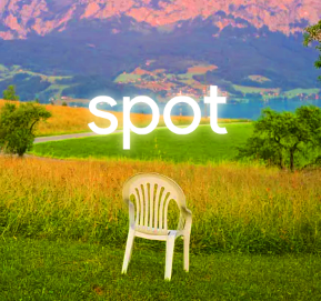 spot