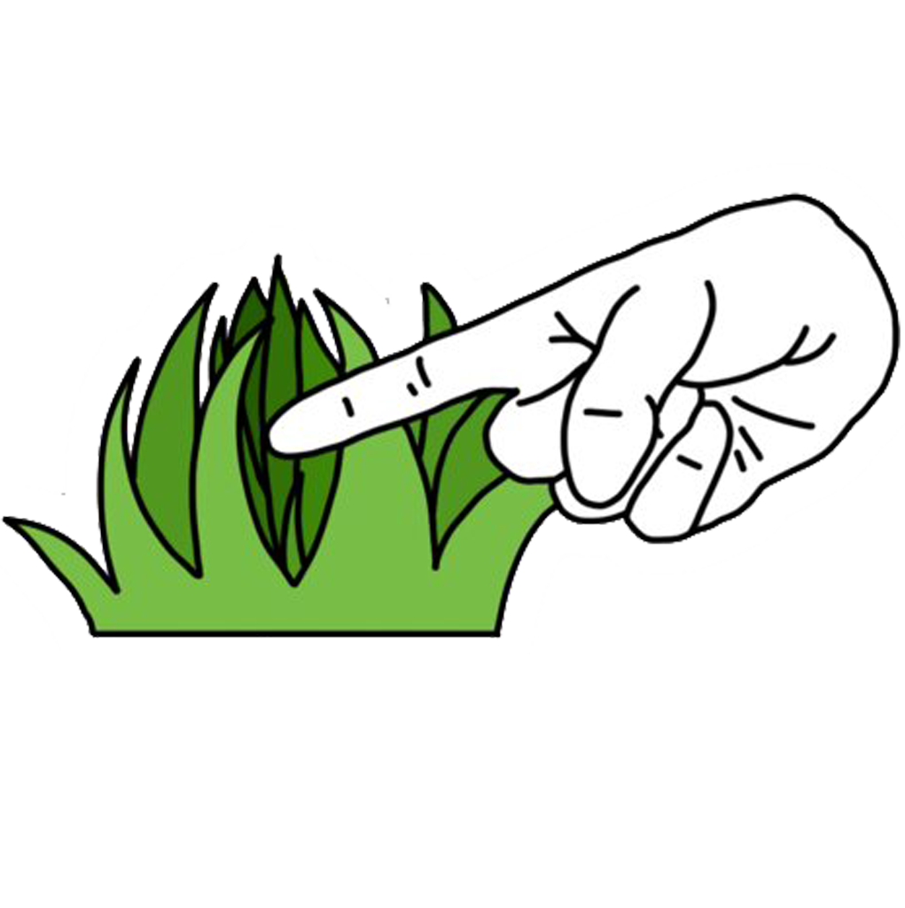 GRASS