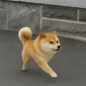 runner