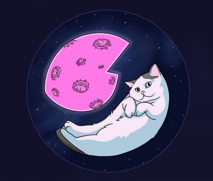 MOONCAT