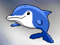 Kairu
