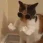 MEOWSCLES