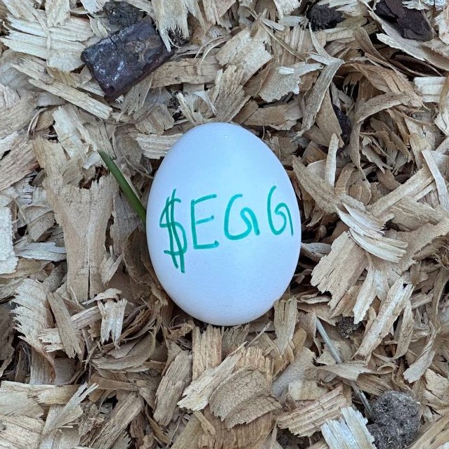 the most watched egg