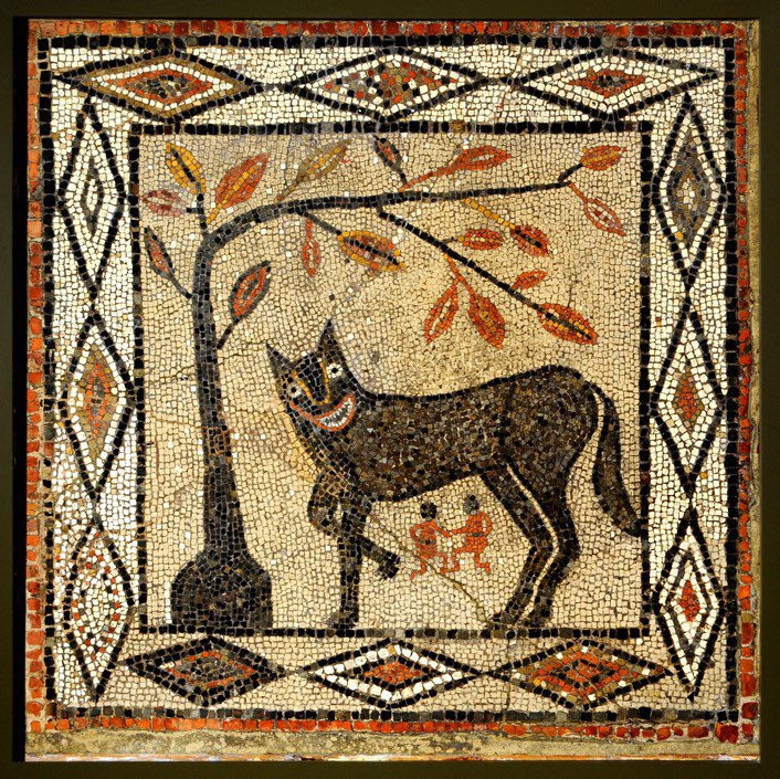 DOGENARII