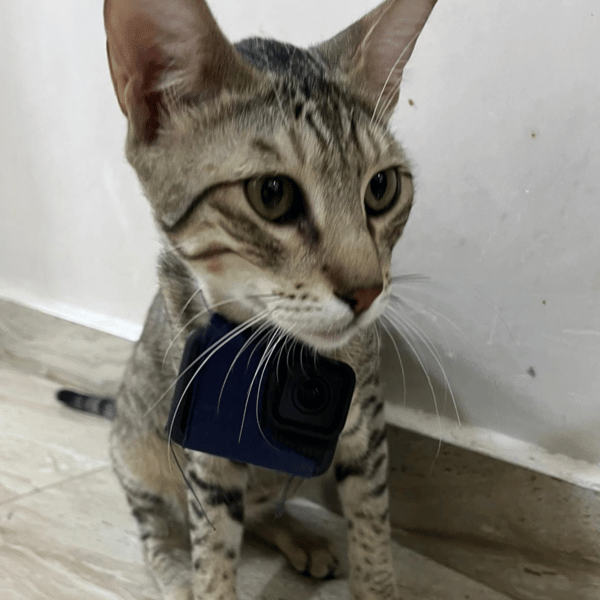 LUNA