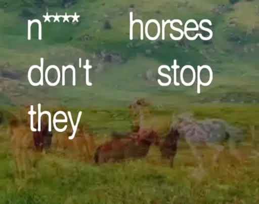 Horses