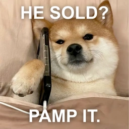 pamp