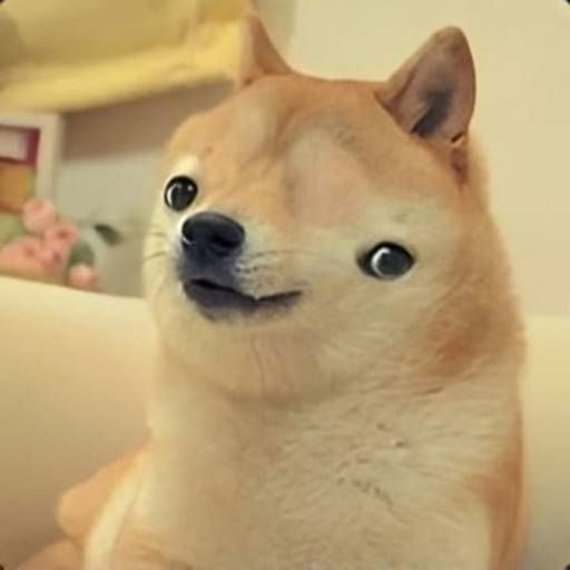 SHIBU