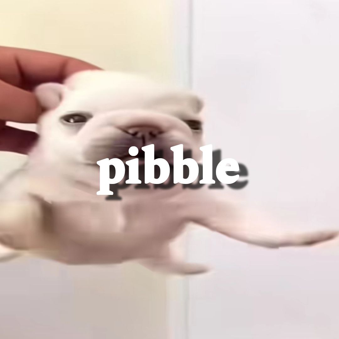 pibble