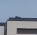ROOFTOP