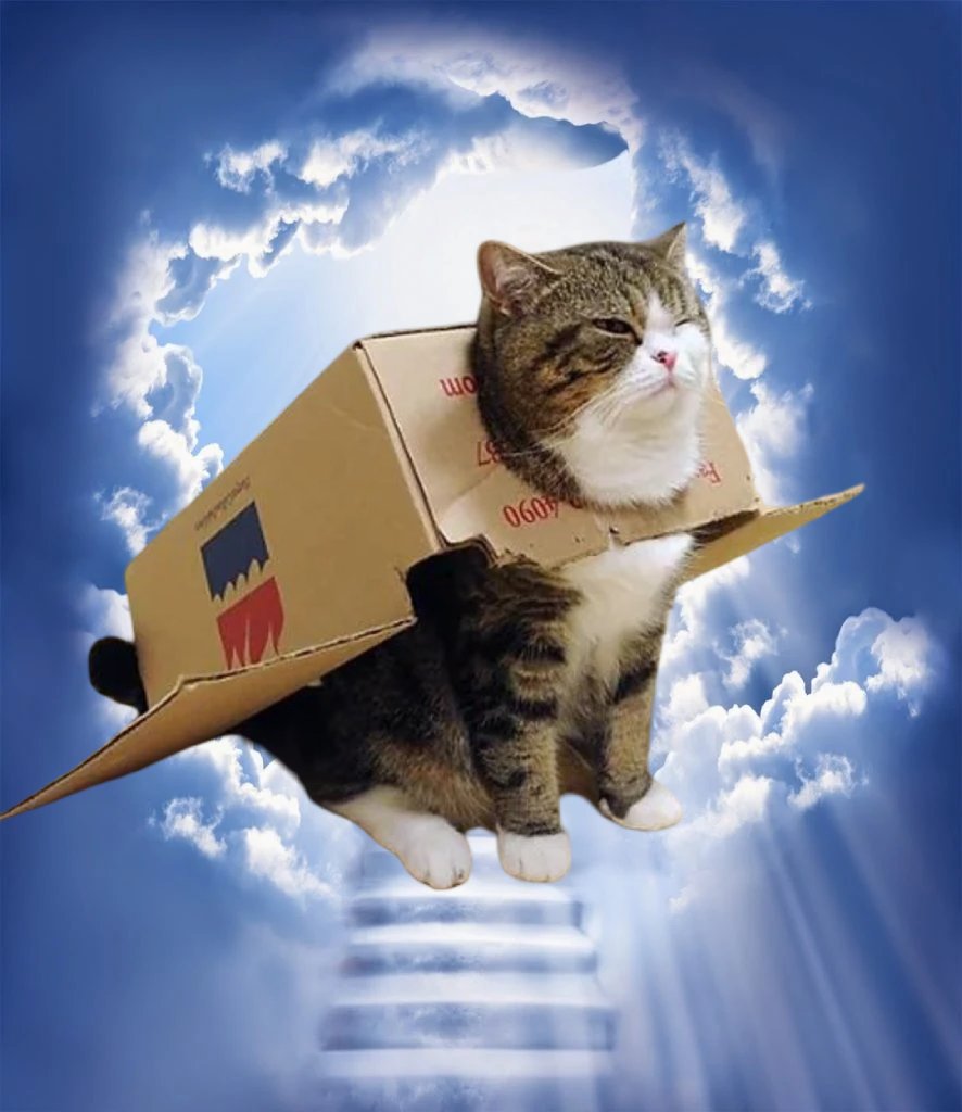 Maru