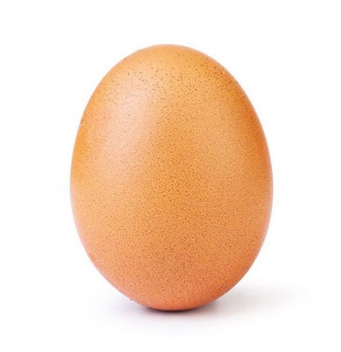 EGG