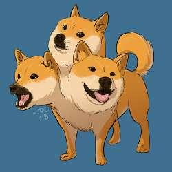 dododoge