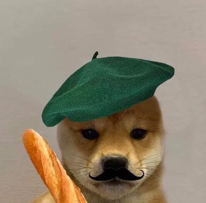 DogOuifHat