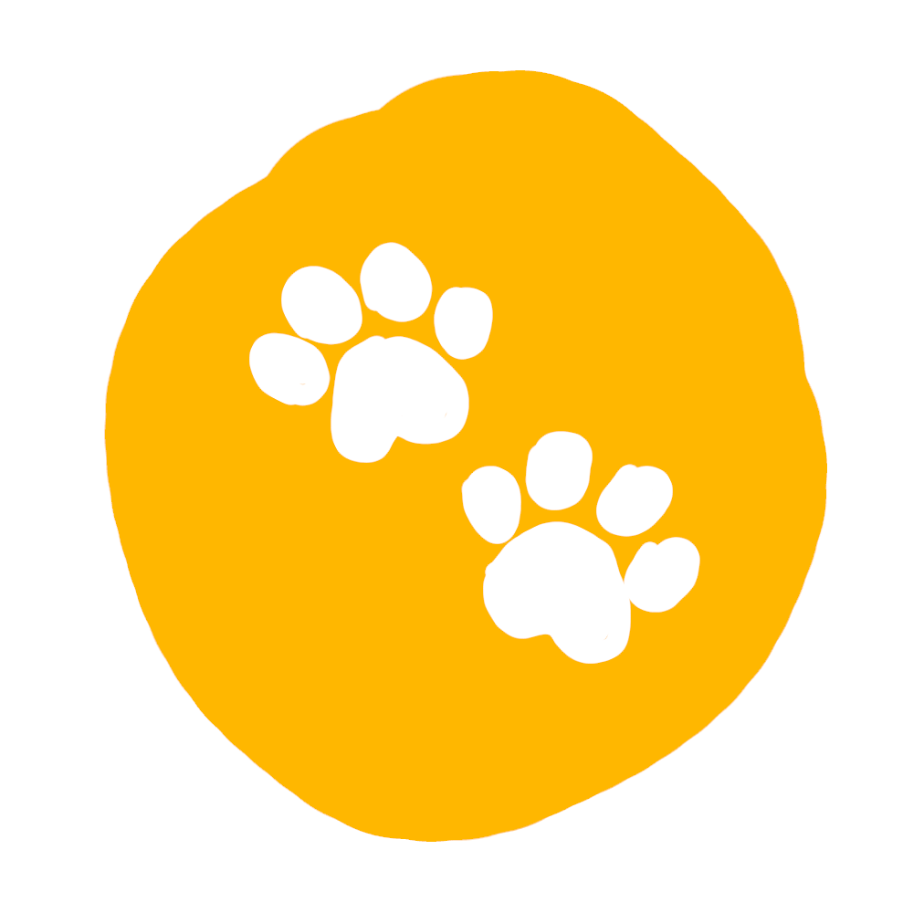 dogcoin