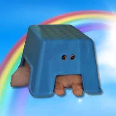 TOFIZ