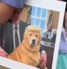 Dognald