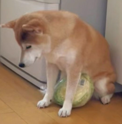 Momono