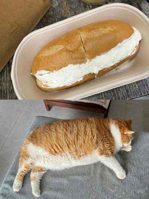 SANDWICH