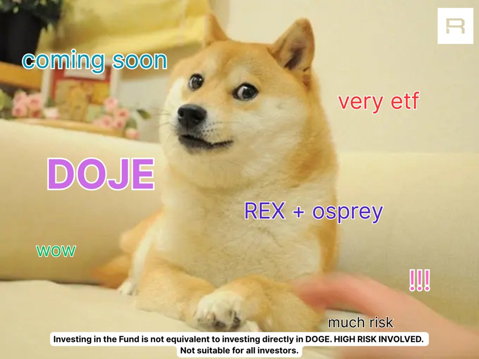 DOJE