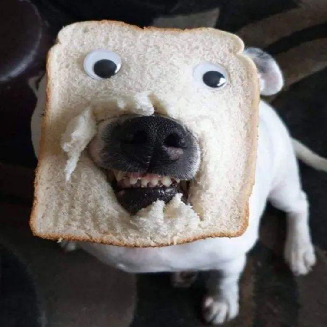 TOAST