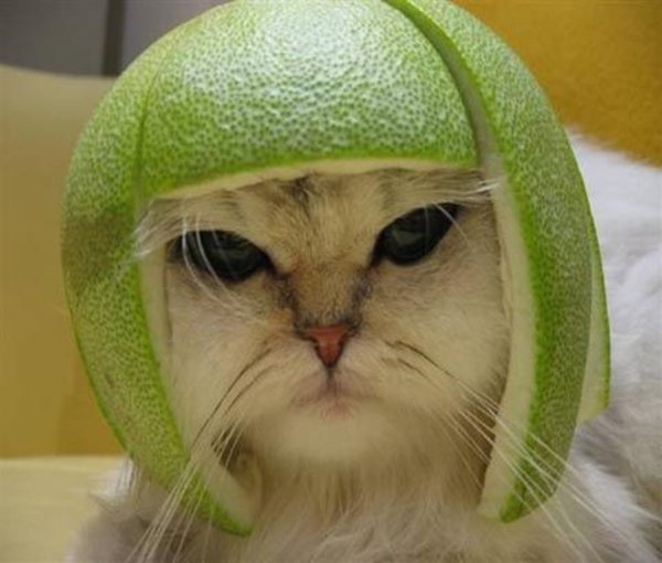 LIME