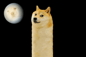 LDOGE