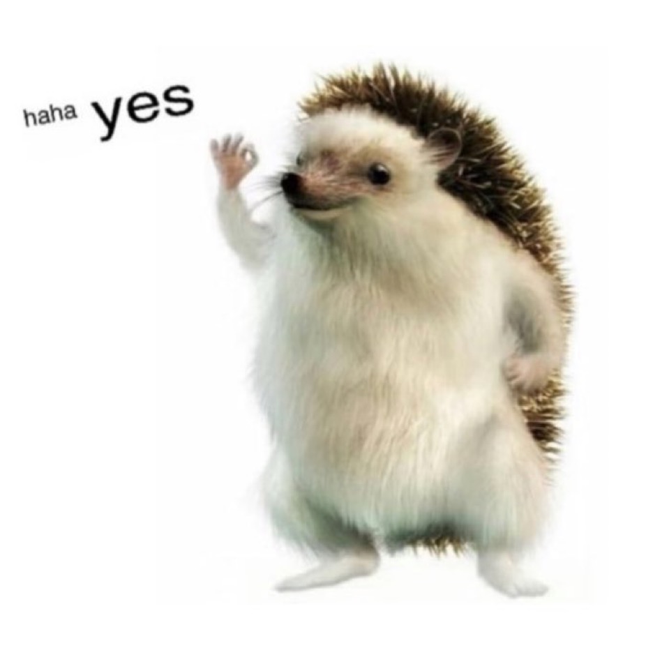 hedgehog 