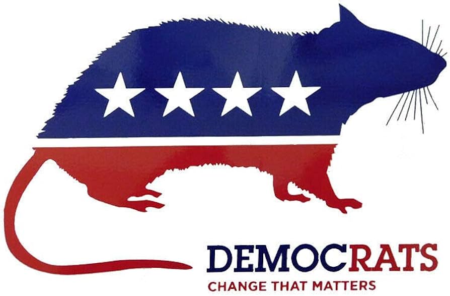 Rats