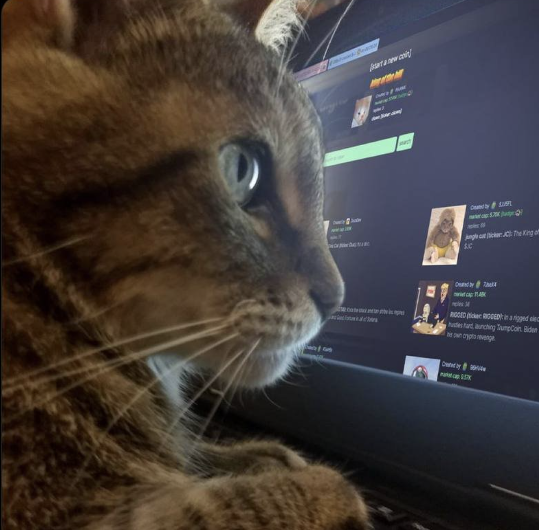 PUMPCAT