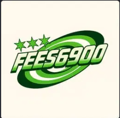 FEES6900