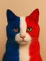 chat