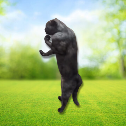 chat