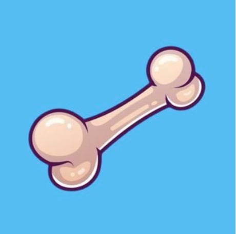 BONE 