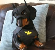 BATDOG