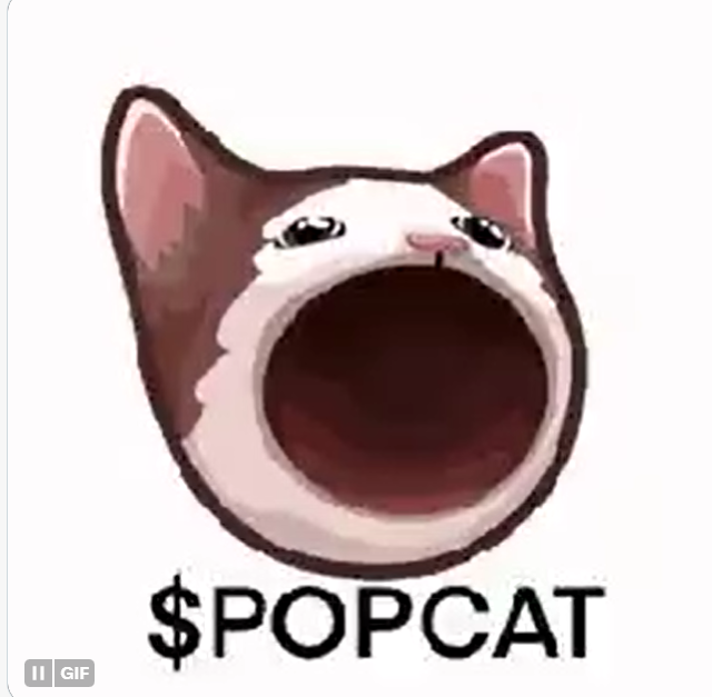 POPCAT