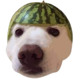 DOGEMELON